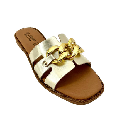 Bio Colors 47Q4 Oro