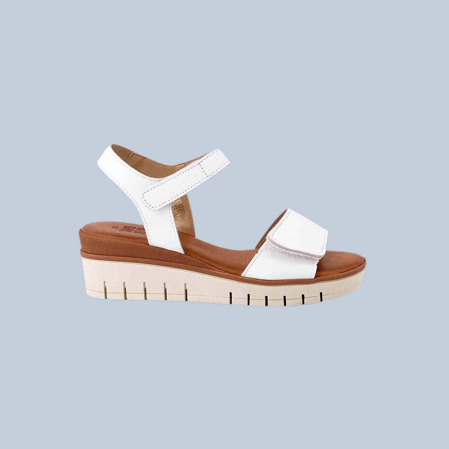 Taste of the Sea 16552 White