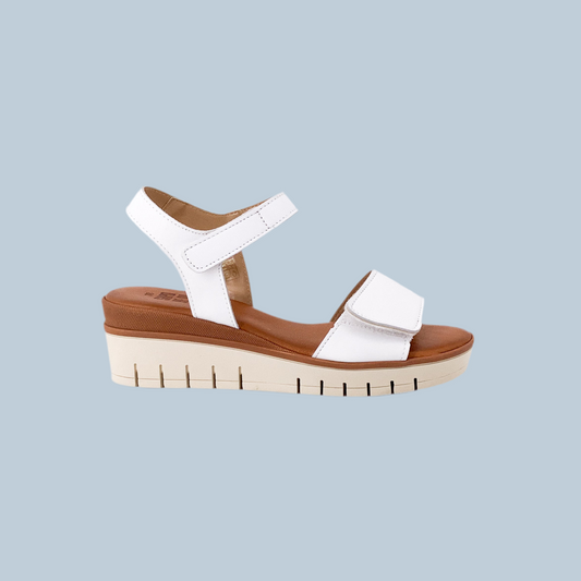 Taste of the Sea 16552 White