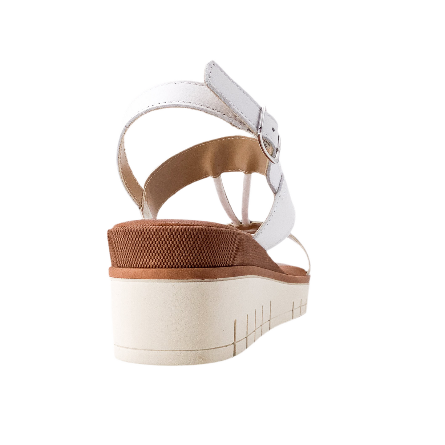 Taste of the Sea 16499 White