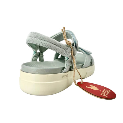 Pitas Maple Aqua