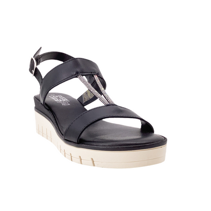 Taste of the Sea 16499 Black