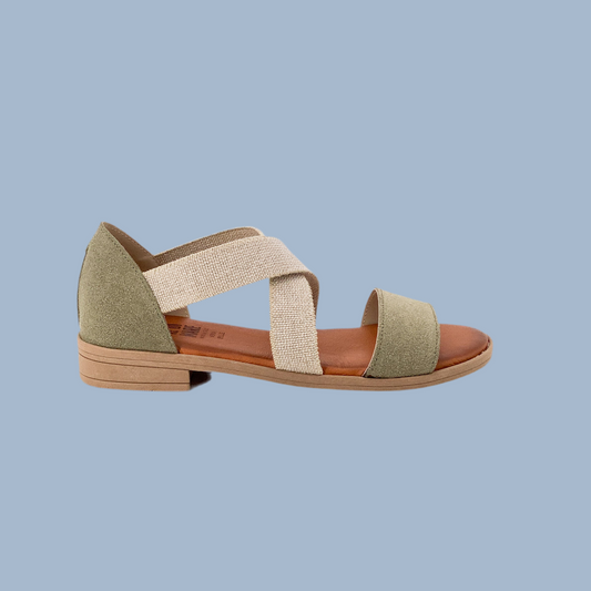 Taste of the Sea 16252 Olive