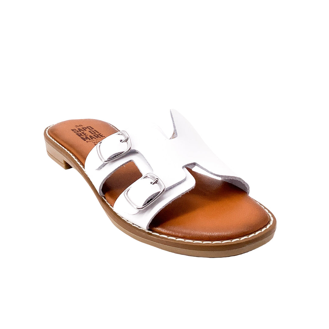 Taste of the Sea 16331 White