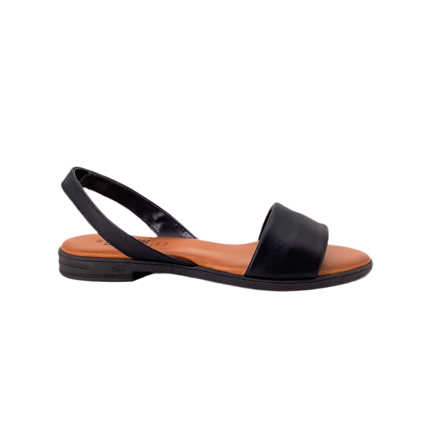 Taste of the Sea 16515 Black