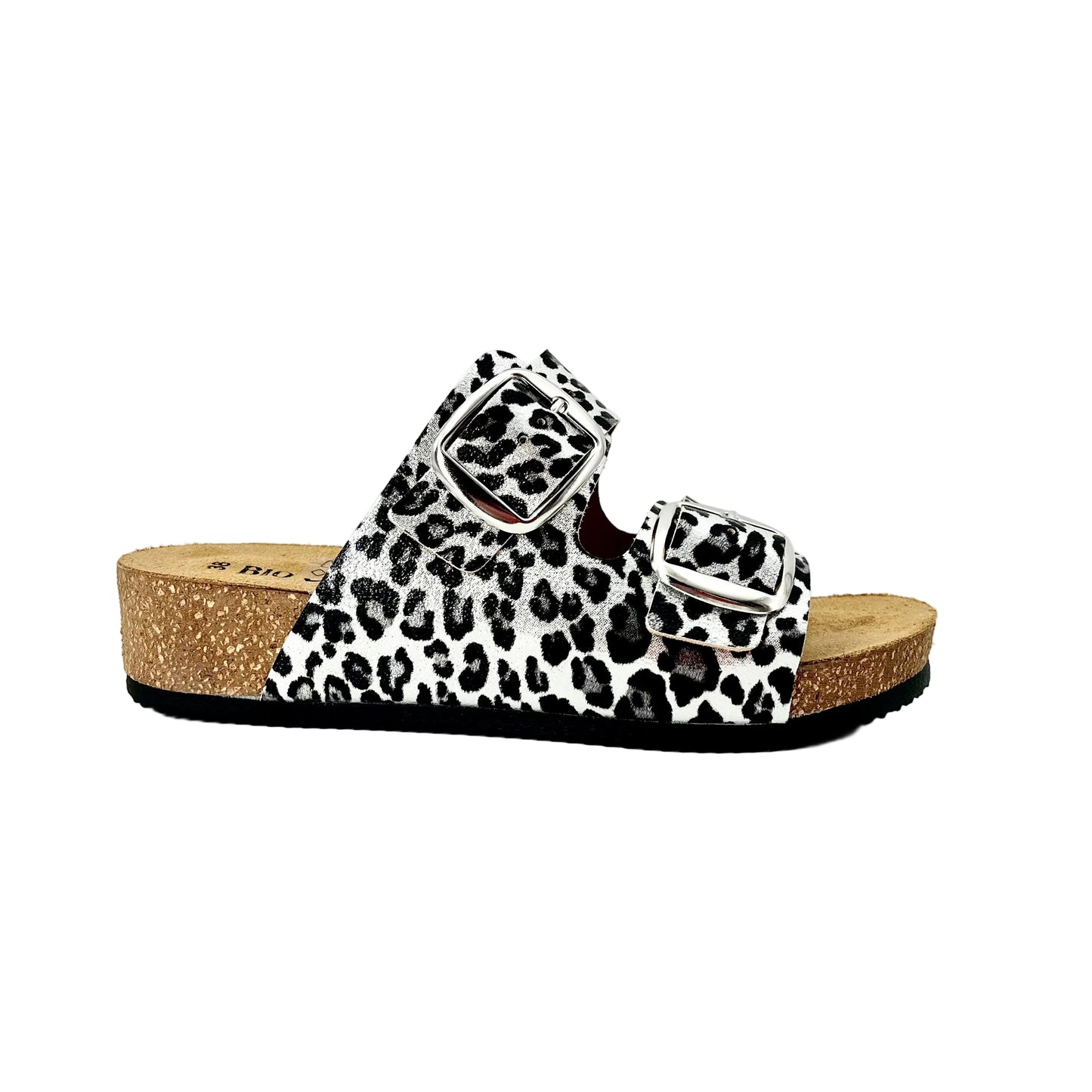 Bio Colors 293A206305V55 Argento