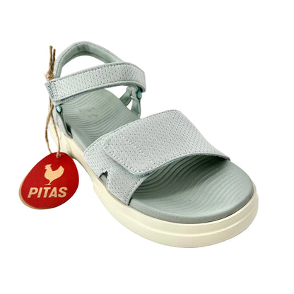 Pitas Maple Aqua