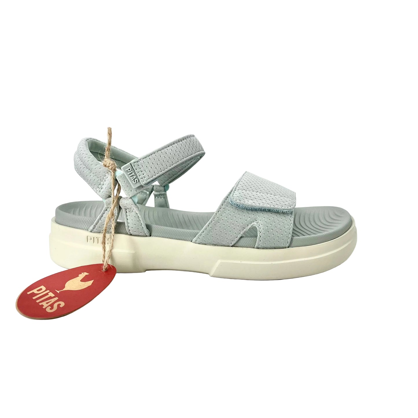 Pitas Maple Aqua