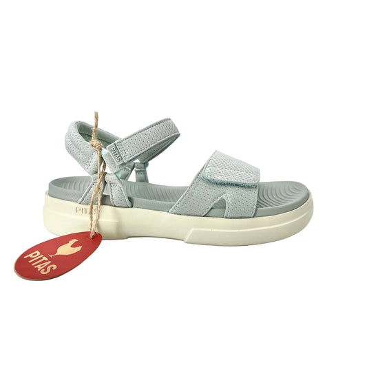 Pitas Maple Aqua