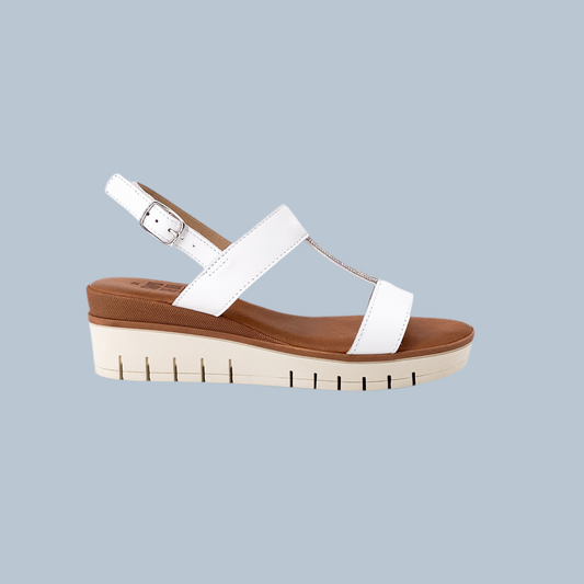 Taste of the Sea 16499 White