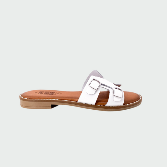 Taste of the Sea 16331 White