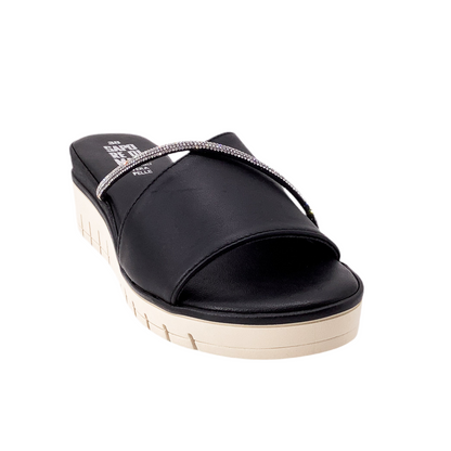 Taste of the Sea 16498 Black