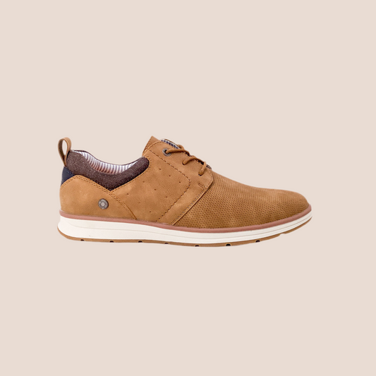 Refresh 172531 Camel