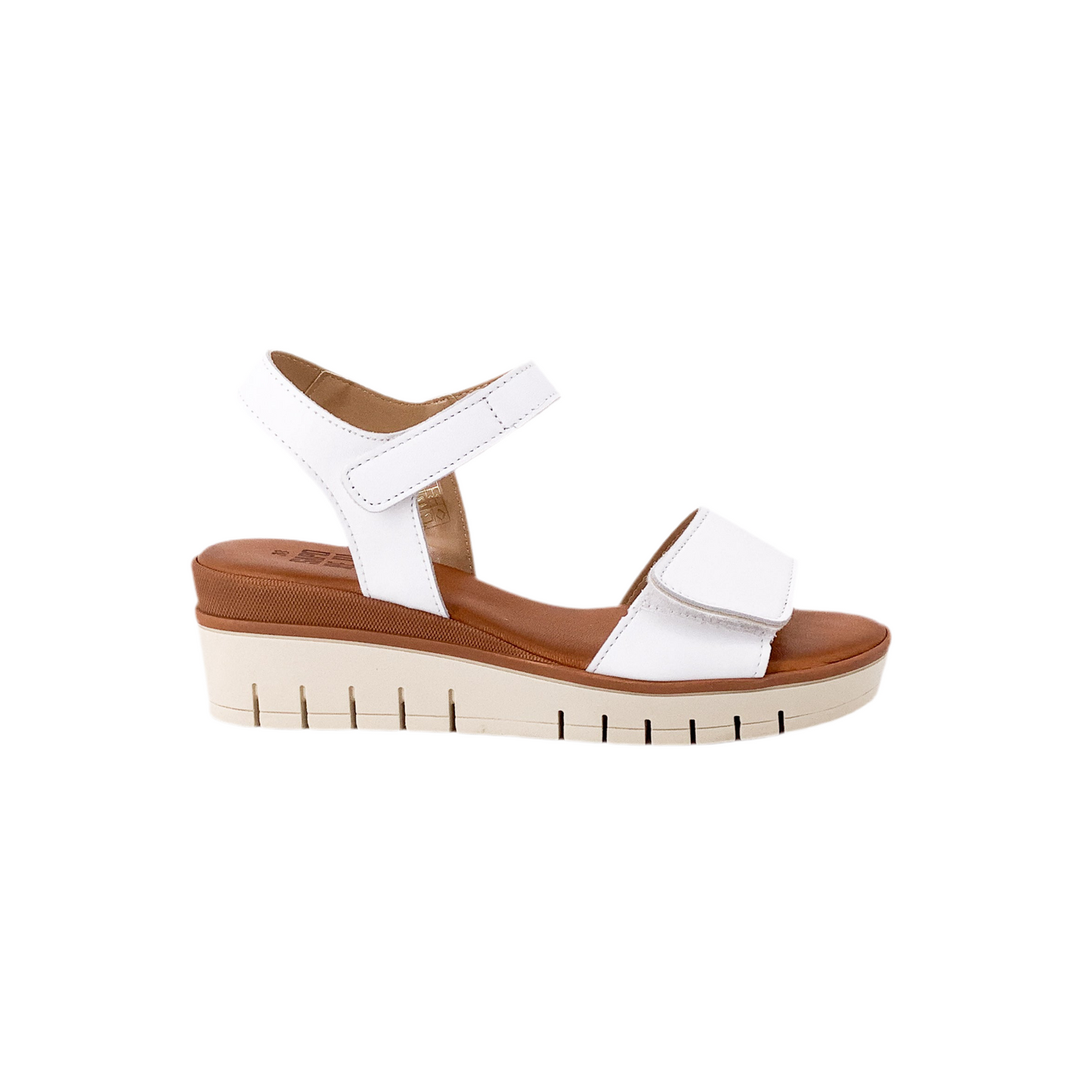 Taste of the Sea 16552 White