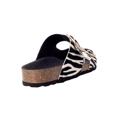 Bio & Bio Karol Zebra
