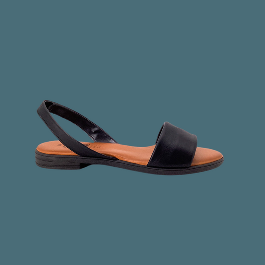 Taste of the Sea 16515 Black