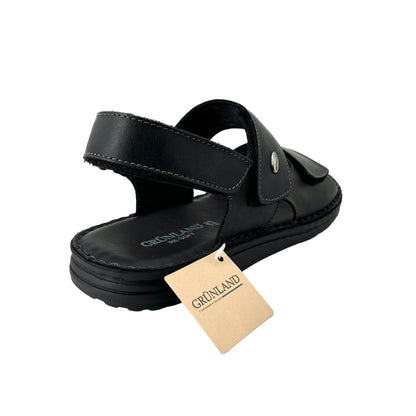 Grunland Sa 1954 80Lapo Nero