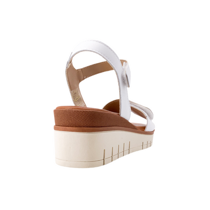 Taste of the Sea 16552 White