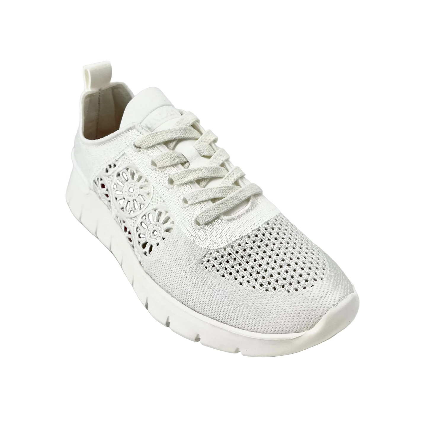 Grunland Sc 4582 F6Sace Bianco