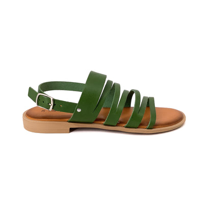 Sea Flavors 15709 Green