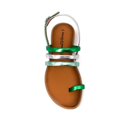 Sapori Di Mare 15736 Multi Verde